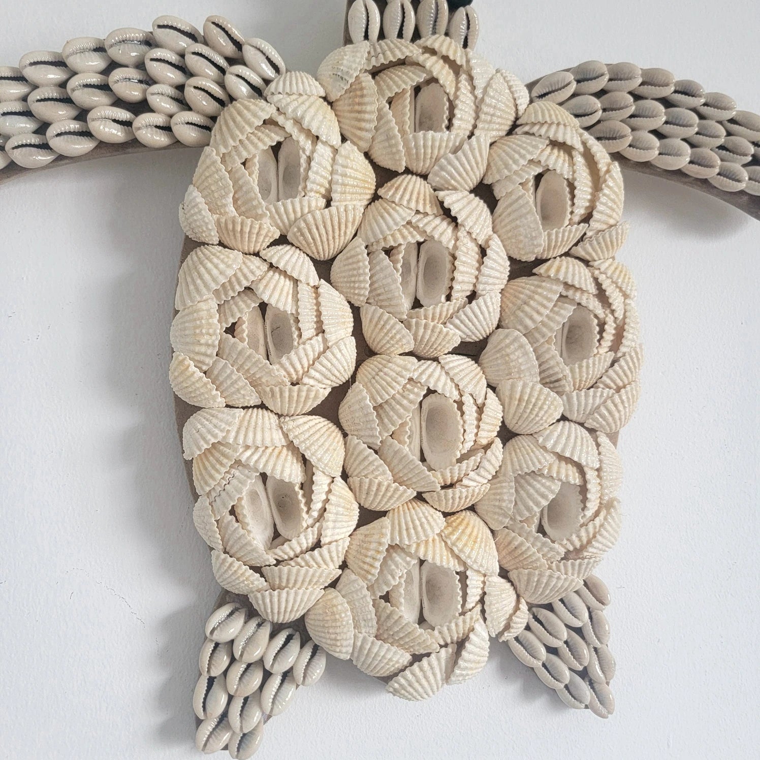 Décoration murale tortue en coquillages