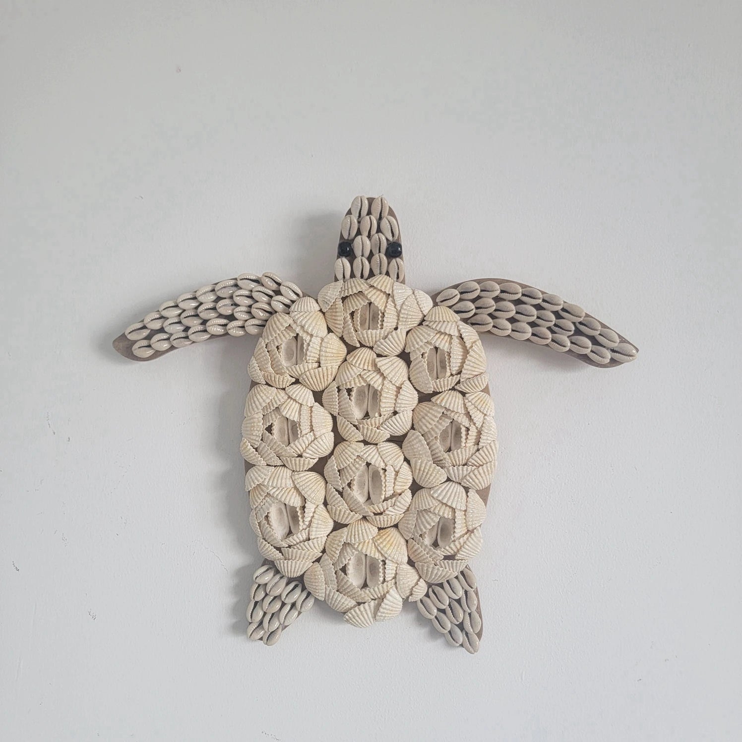 Décoration murale tortue en coquillages
