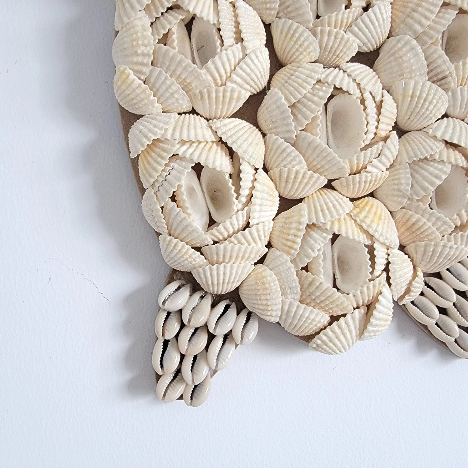 Décoration murale tortue en coquillages